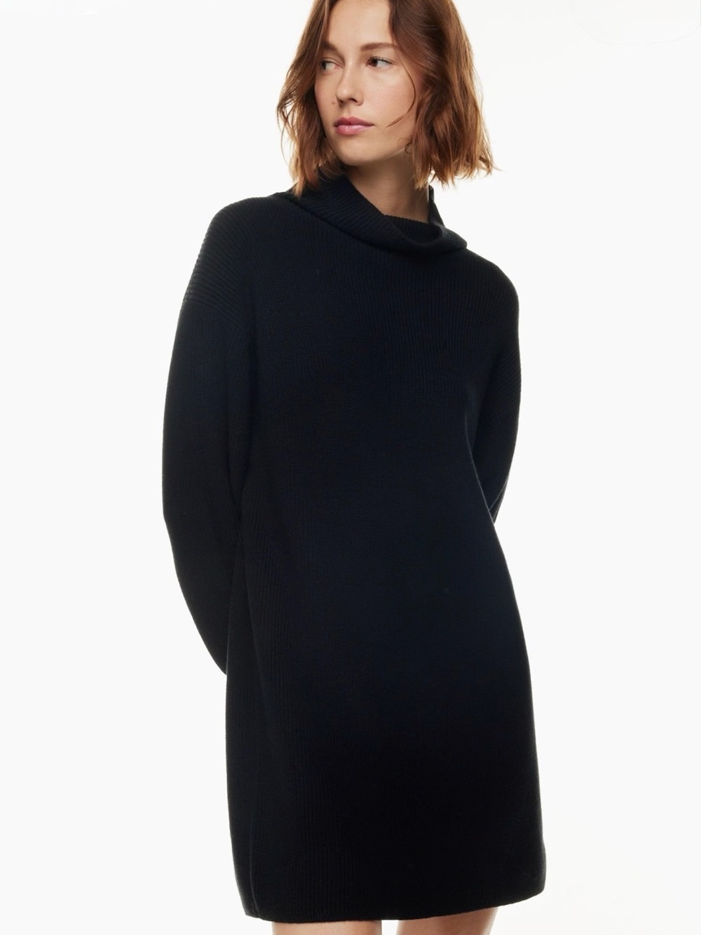 Aritzia Wilfred Montpellier Dress